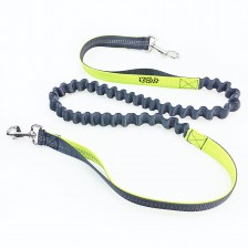 Adjustable Pet Leash